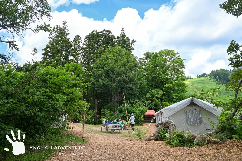 520231966_1202301395034095_8335891477809922207_n