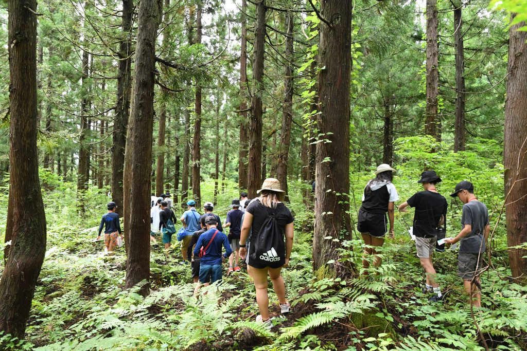森の中を探検。遊びながら、自然と深くつながる時間